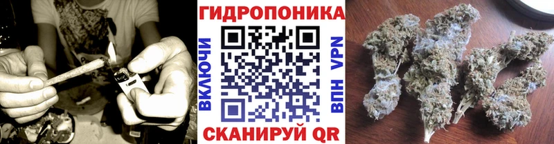 Бошки Шишки тримм Лермонтов